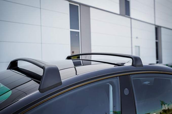 Tesloid.com Aluminum Roof Rack Cross Bars for Tesla Model 3