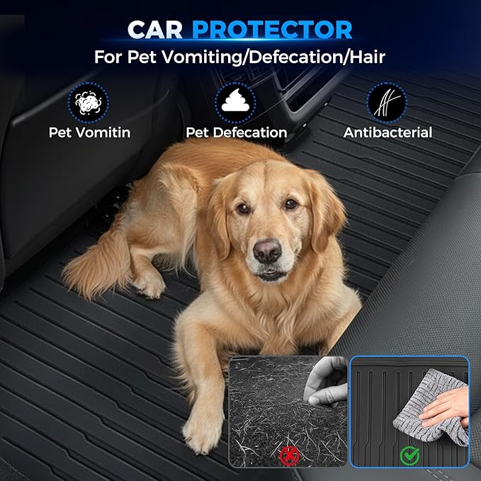 Floor Mats Model 3 Highland 2025 2024, TPE All Weather Cargo Liner Floor Mats and Cargo Trunk Mats Accessories Front Rear Cargo Mat Full Set of 8