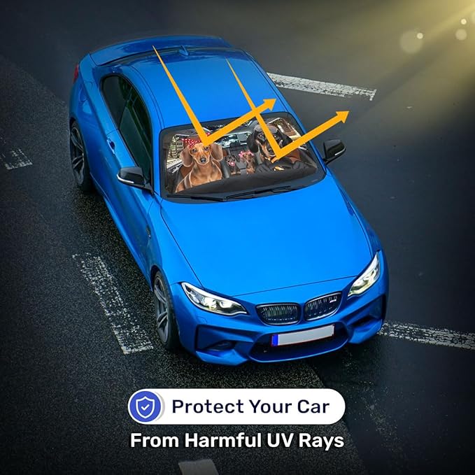 Horror Windshield Sun Shade for Car SUV Truck (55x30 Inches), Front Window Visor for Windows, Protector Blocks UV